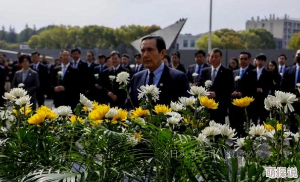 2024单机三国游戏手机版震撼来袭！火爆榜单及惊喜新游预告一览无遗