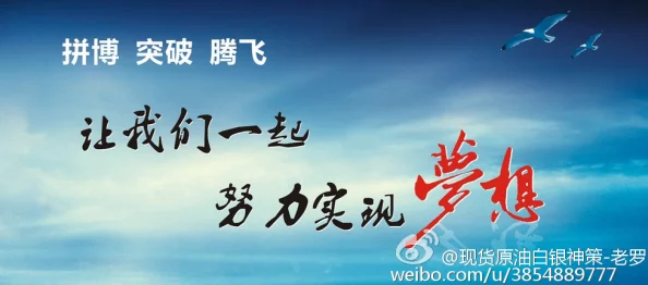 一根材让我们一起努力追求梦想，勇敢面对挑战，创造美好未来
