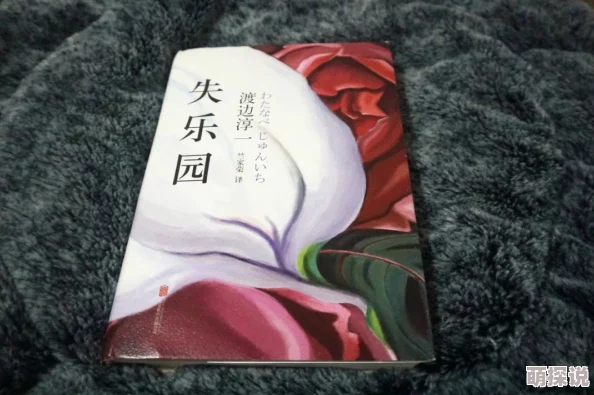 嗯嗯嗯不要失乐园心灵的归宿在于追求真理与爱的力量