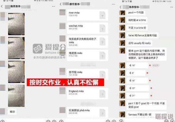 吃网cgw01.com教师网站维护升级预计2024年1月1日恢复访问