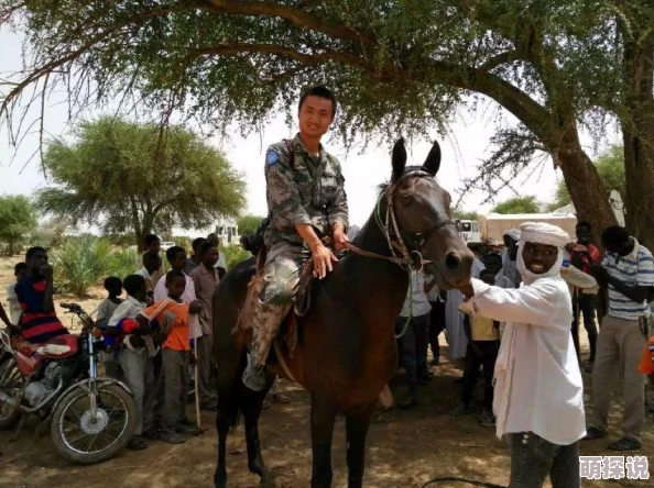 夜族崛起秘籍大公开：卡无限百分百不死之血，惊喜解锁隐藏生存神技步骤详解！