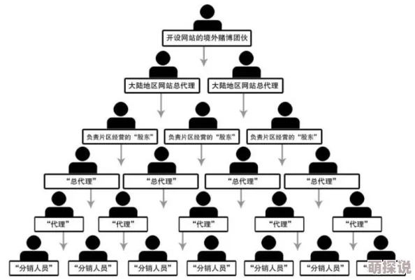 三级直播揭秘传销内幕操控层级金字塔骗局