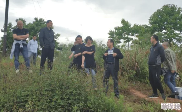 惊喜揭秘！太空行动绿恐龙装扮超全获取攻略及隐藏方法介绍，速来get！