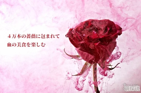 你怎么这么大团鬼六:蔷薇地狱追求梦想勇敢前行,生活总会绽放希望之花 你怎么这么大团鬼六:蔷薇地狱追求梦想勇敢前行,生活总会绽放希望之花