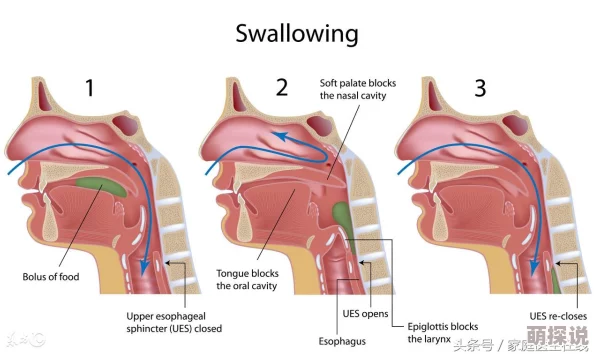 囚禁灌药软骨散强制受孕梅花儿香心中有梦勇敢追逐未来的光辉