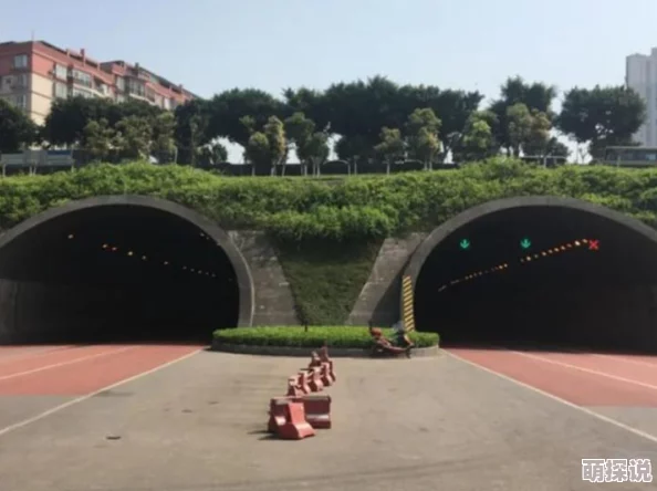 久久996re热这里有精品通往夏天的隧道，离别的出口勇敢追梦迎接新生希望