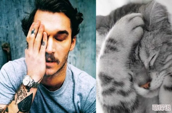 女的用嘴吸男的jiji的感觉体验因人而异，具体感受难以用语言描述，请谨慎尝试