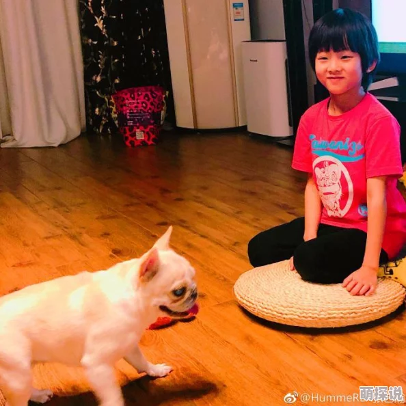 国产露脸视频精彩内容持续更新敬请期待更多优质作品