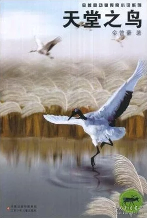 天堂鸟之歌资源下载链接提取码8848 天堂鸟之歌资源下载链接提取码8848