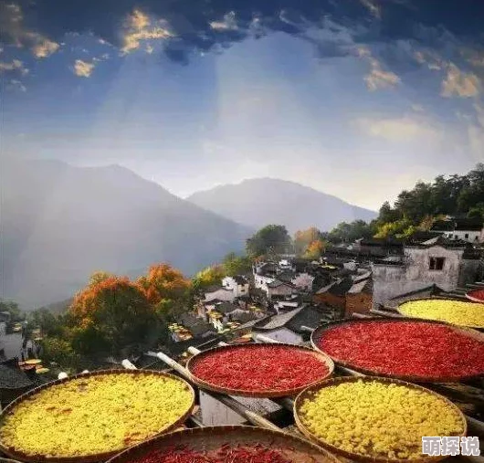 999插插插娘家的故事3传递温暖与希望，珍惜亲情共创美好未来