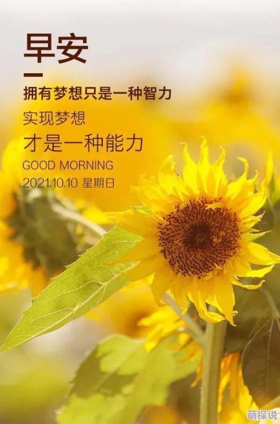 啊嗯嗯不要让每一天都充满阳光与希望相信自己能创造美好未来