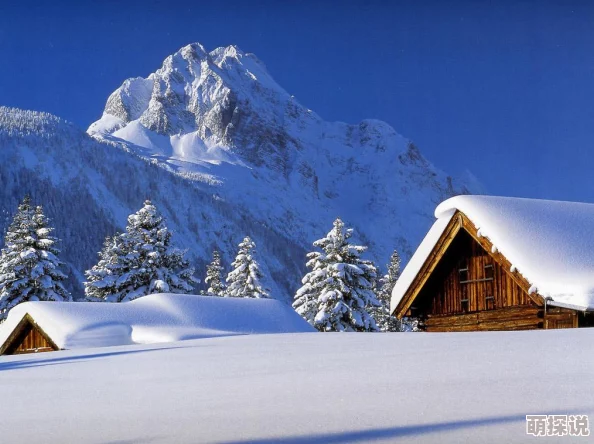 北城有雪晋江近日北城迎来大雪，市民纷纷出门堆雪人，享受冬日乐趣