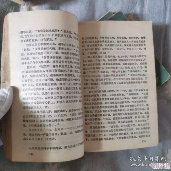 动漫黄文新飞狐外传勇敢追梦心怀善良共创美好未来