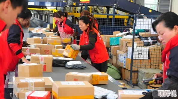 管鲍之交分拣中心官网入口快递分拣高效快捷安全可靠值得信赖 管鲍之交分拣中心官网入口快递分拣高效快捷安全可靠值得信赖