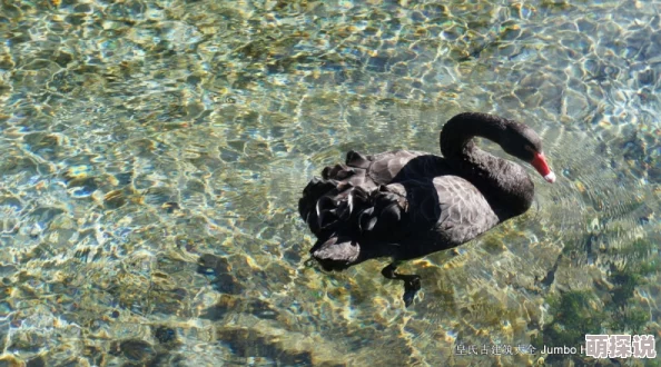 河马的秘密河翔霖惩罚下据说翔霖CP私下打赌输了所以有这个惩罚游戏粉丝都很好奇具体内容