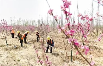 福利片一区据说主演们私下关系复杂引发网友热议