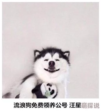 破了自己的亲姝姝的处据说男方是隔壁村的二狗子两人从小就认识 破了自己的亲姝姝的处据说男方是隔壁村的二狗子两人从小就认识