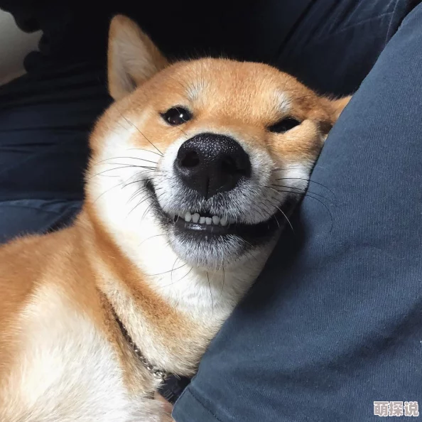 破了自己的亲姝姝的处据说男方是隔壁村的二狗子两人从小就认识 破了自己的亲姝姝的处据说男方是隔壁村的二狗子两人从小就认识