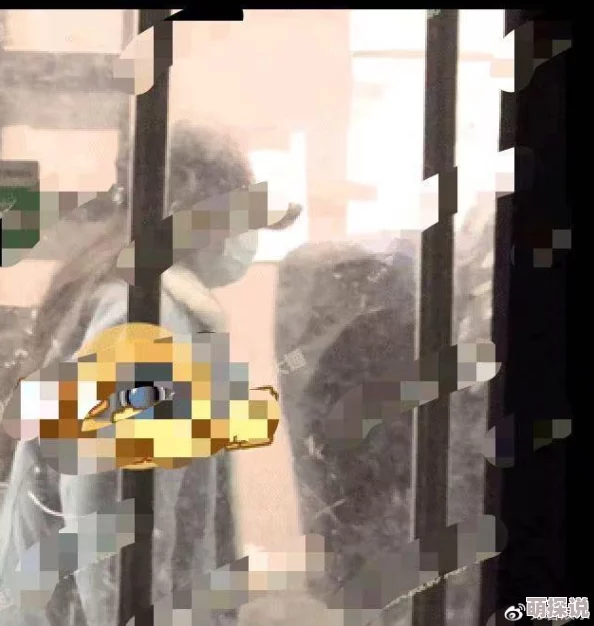 操的好深娱乐圈小花深夜密会神秘男子举止亲昵疑似新恋情曝光 操的好深娱乐圈小花深夜密会神秘男子举止亲昵疑似新恋情曝光