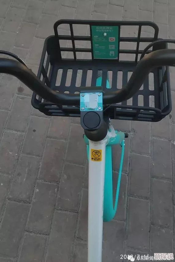 骑蛇难下原文蛇青据说作者养了三条蛇还给它们起了名字分别叫小青小白和小绿