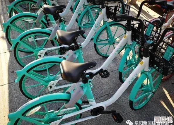骑蛇难下原文蛇青据说作者养了三条蛇还给它们起了名字分别叫小青小白和小绿