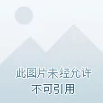 怪物猎人OL大剑派系深度解析：哪个更胜一筹？惊喜消息揭秘最强流派！