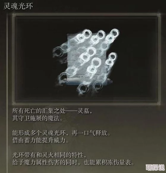 惊喜揭秘！艾尔登法环中，哪款鞭子最好用？顶级选择让你战力飙升！