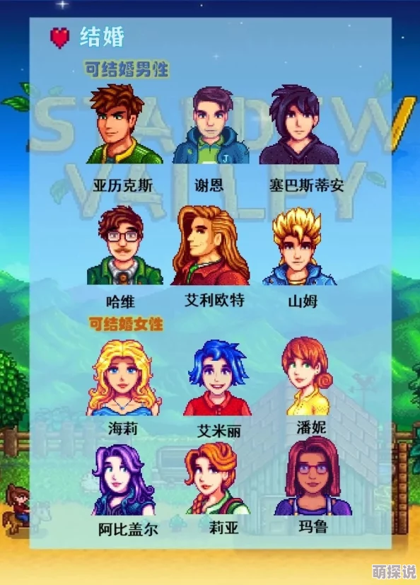 星露谷物语深度解析：揭秘哪个男性角色最适合结婚，并有意外惊喜等你发现！