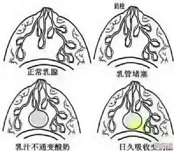 超变态乳孔扩张榨乳小说听说作者是位程序员而且还是单身