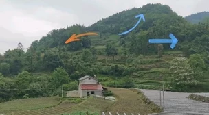 阿姨的穴据说是小区风水宝地每天都有大爷排队来占位