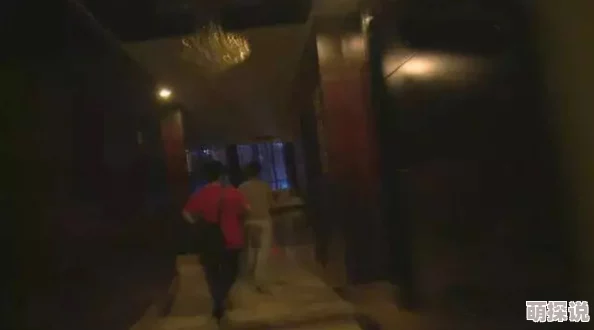 黄色一级录像地下交易链曝光警方查获海量视频
