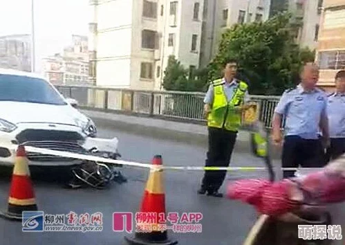 文轩高速车疑似最新路透照曝光粉丝称是拍摄角度问题