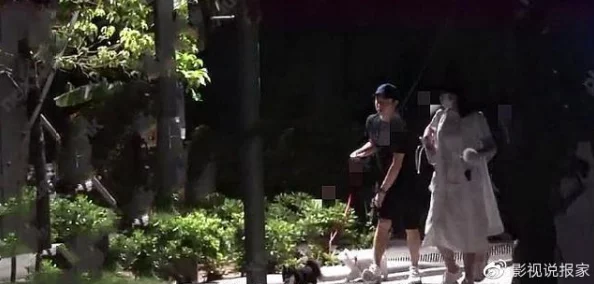 秋霞瓜皮疑似与圈内小鲜肉深夜密会共进晚餐举止亲昵