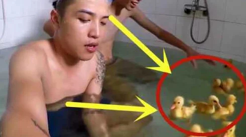 1069男鸭全部裸体网友：这是什么梗？完全看不懂