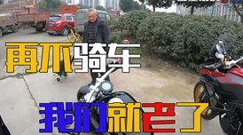 美学公式ao3补车听说太太最近沉迷养猫鸽了更新