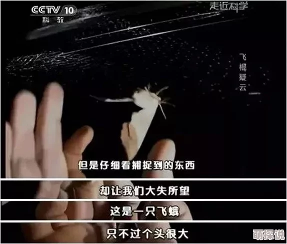 老王影院据传设备老旧画质模糊好多人吐槽音效不好