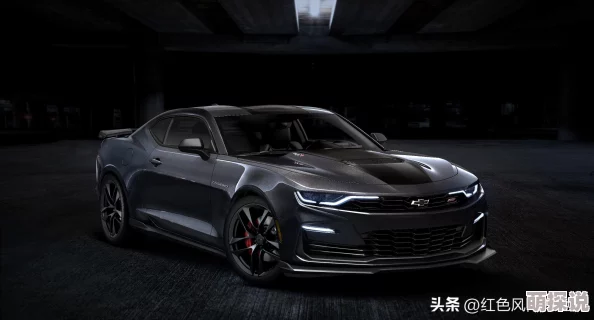 口袋妖怪VS：2024热门徽章获取全攻略介绍