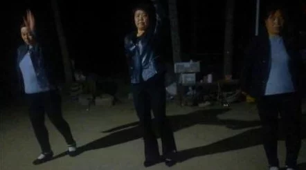 老秦头与付筱竹的幸福生活第二部听说老两口最近迷上了广场舞还拿了个比赛第一