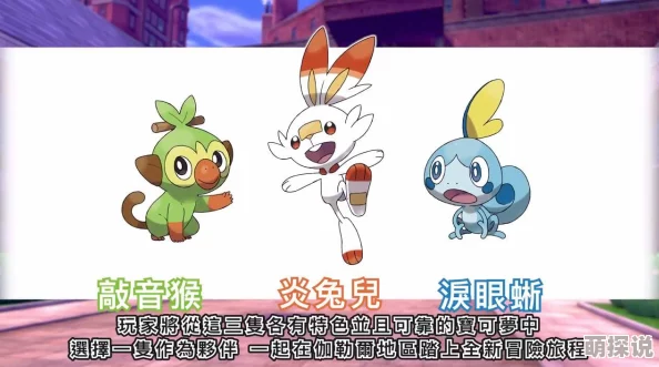 口袋妖怪VS精灵PVP：最新热门阵容综合分析攻略指南