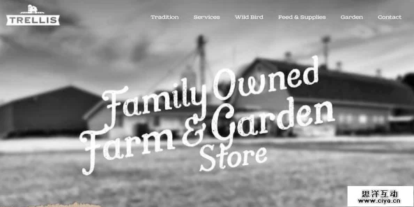 欧美精品久久久画面模糊加载慢广告多内容重复体验差 欧美精品久久久画面模糊加载慢广告多内容重复体验差