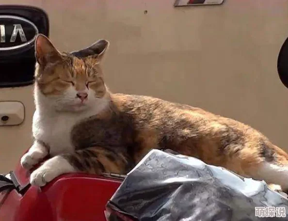 快干我听说隔壁王二麻子家的狗昨天跟李寡妇家的猫私奔了