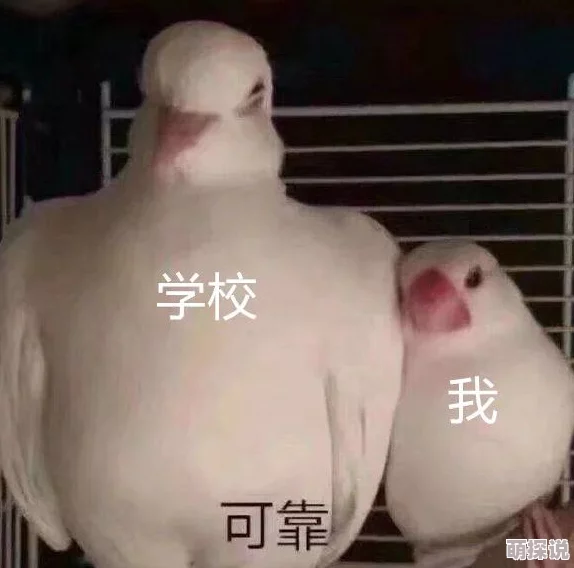 他手挤进我胸罩里揉搓听说还是在公司年会上当着所有同事的面太劲爆了