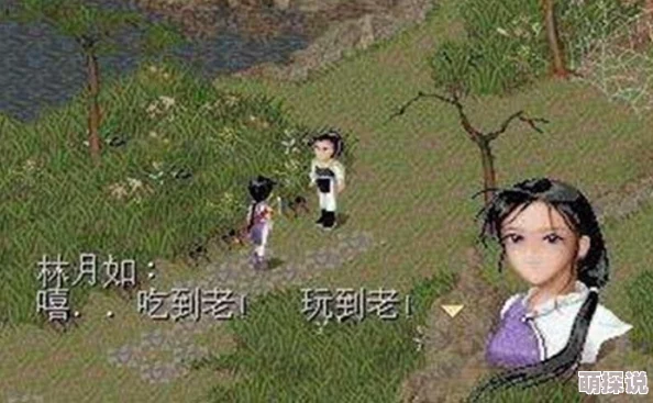 剑侠情缘手游热门玩法：比武招亲系统全规则解析