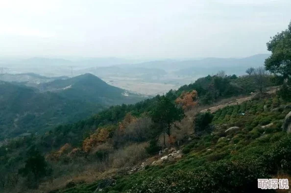 率土之滨兵法新趋势：用兵之计深度解析与热门战术攻略