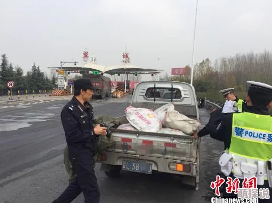 东北少妇和公猪交警方介入调查现场画面曝光令人震惊