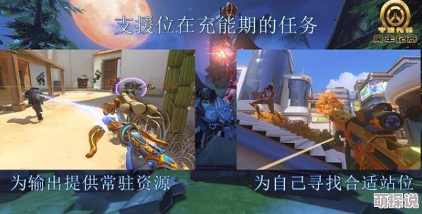 守望先锋高玩深度剖析：游戏常败原因与最新热门战术分析
