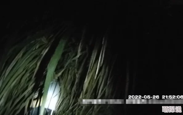 草的好爽据传某小花深夜与神秘男子同回酒店共度三小时