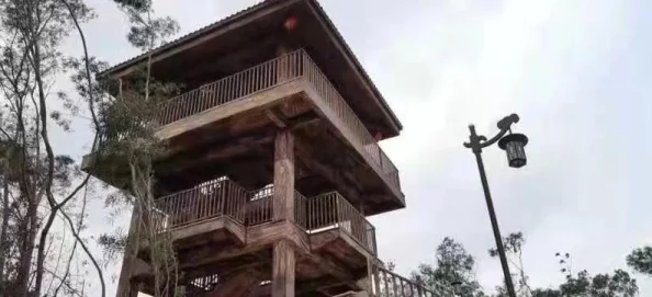 《我的世界》暮色森林：时光树功能作用全面热门解析