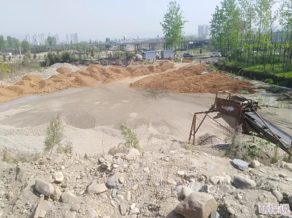 美女草比种植基地非法占用耕地破坏生态环境