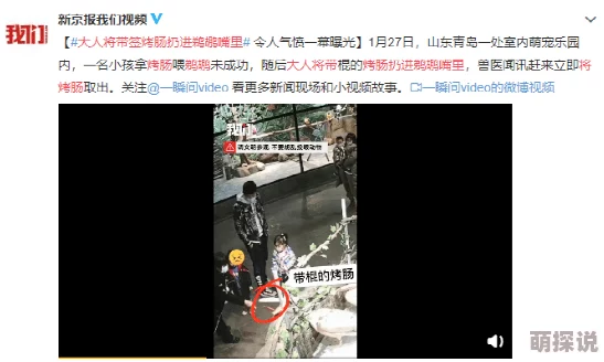 成人a免费α片在线视频网站内容低俗画质差浪费时间